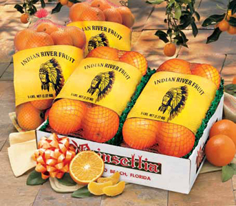 Citrus Gift Packs