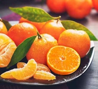 Temple Oranges