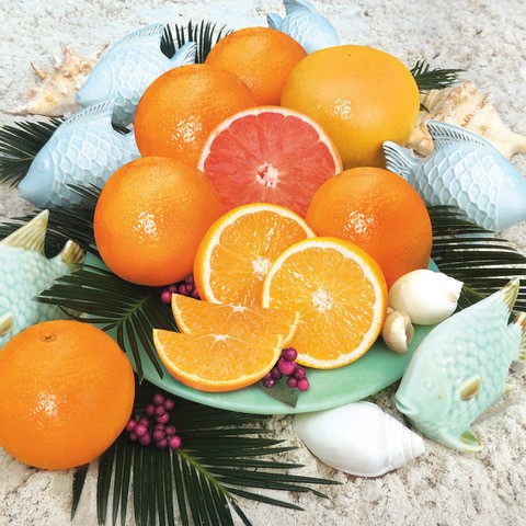 Valencia Oranges & Grapefruit