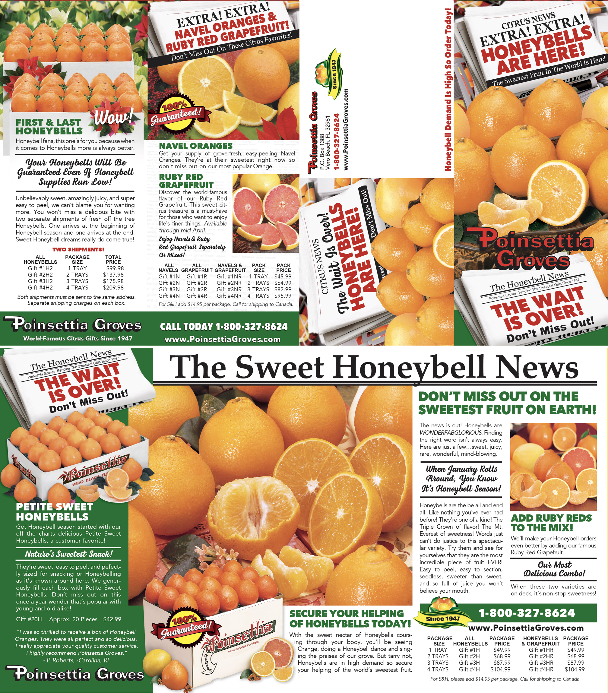 Navel Oranges and Honeybell Tangelos – Bob Roth's New River Groves